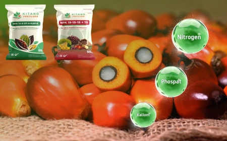 Pupuk Sawit yang Bagus untuk Meningkatkan Hasil Panen