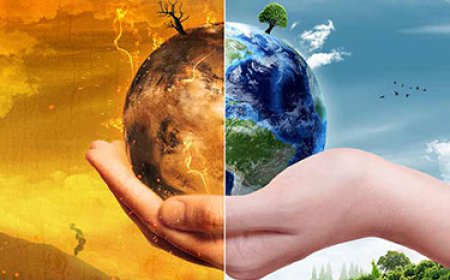 Pemanasan Global Semakin Buruk: Apa yang Bisa Kita Lakukan?