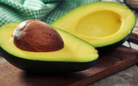 Panduan Lengkap Budidaya Alpukat Mentega agar Berbuah Lebat