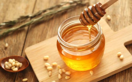 Jenis Madu dan Manfaatnya bagi Tubuh