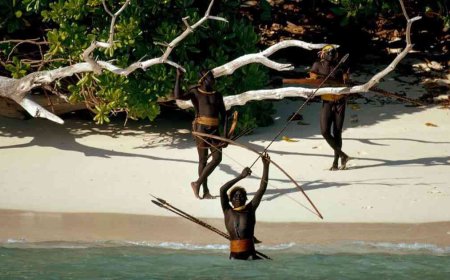 Pulau Sentinel Utara: Pulau Paling Misterius, Tertutup, dan Terlarang di Dunia