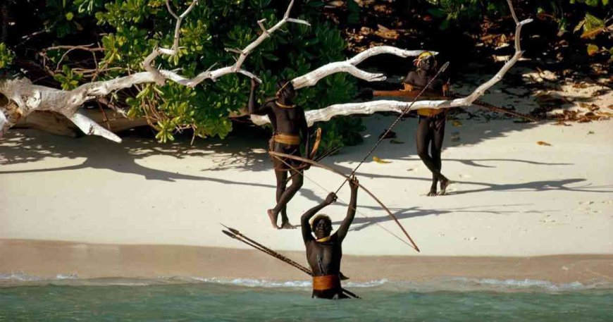 Pulau Sentinel Utara: Pulau Paling Misterius, Tertutup, dan Terlarang di Dunia