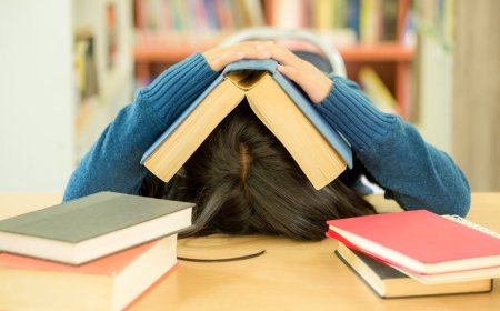 Bangkit dari Kegagalan: Pelajaran yang Tak Diajarkan di Sekolah