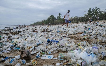 Plastik Sekali Pakai: Musuh Kecil yang Berbahaya
