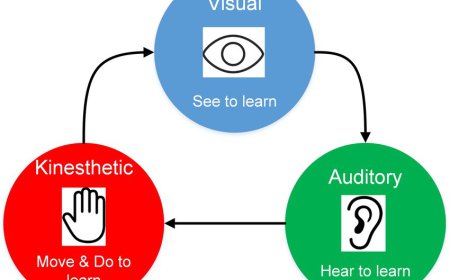 Perbedaan Metode Belajar Visual, Auditori, dan Kinestetik, Mana yang Cocok untuk Kamu?